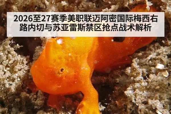 2026至27赛季美职联迈阿密国际梅西右路内切与苏亚雷斯禁区抢点战术解析